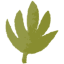 green leaf